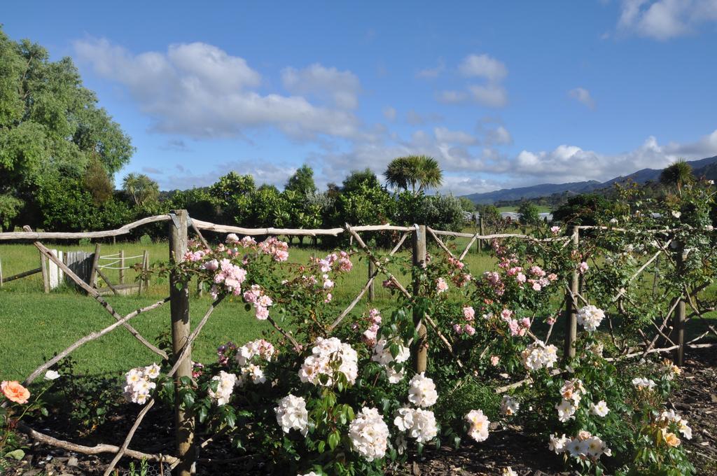 Jacaranda Lodge Coromandel Exterior foto